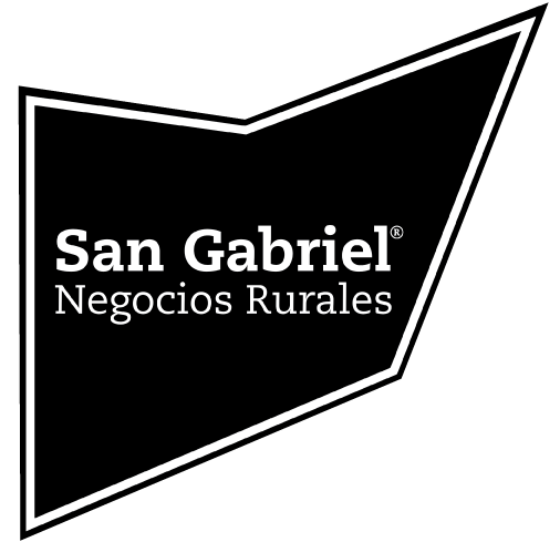 Escritorio San Gabriel